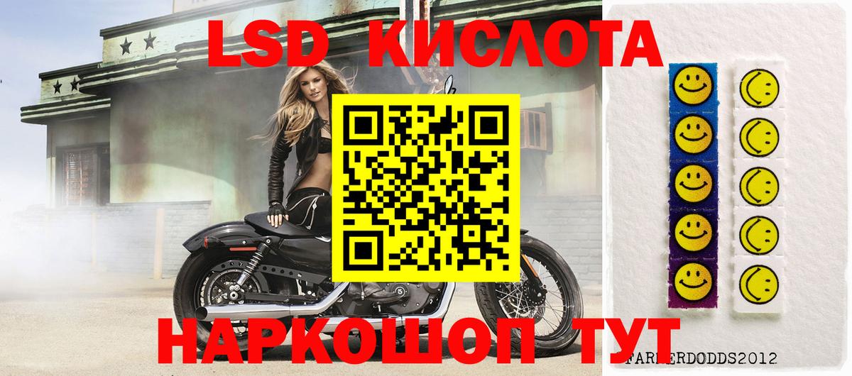 Галлюциногенные грибы Фролово