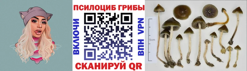 Псилоцибиновые грибы MAGIC MUSHROOMS  Фролово 